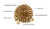 BulletProof Light Duty 1/4" x 16' Transport Chain